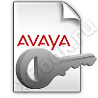 AVAYA 229427