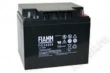 FIAMM FG24204